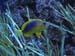thumbnail042
